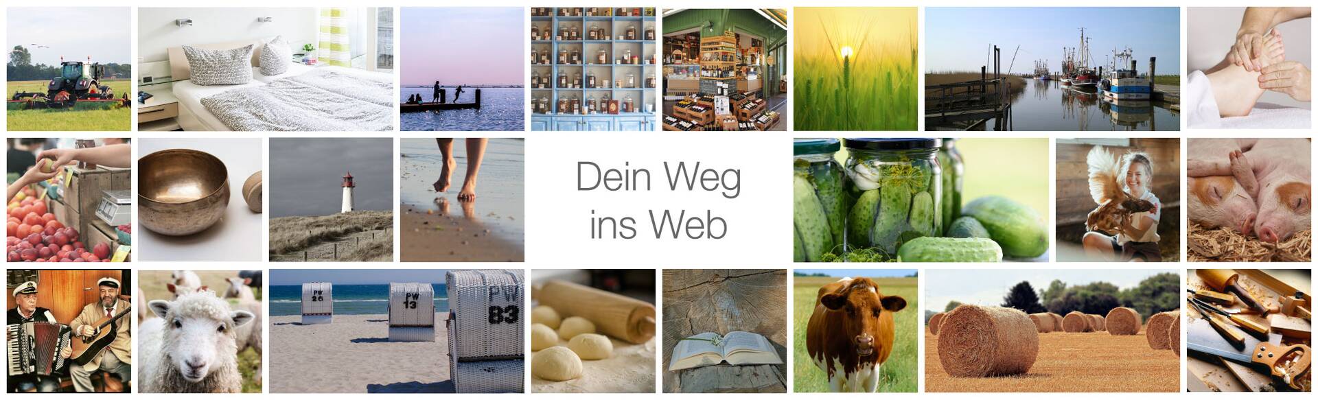 Bildcollage mit Alltagsmotiven aus der Region: Landschaft, Tiere, Hafen, Essen und Handwerk, in der Mitte der Schriftzug „Dein Weg ins Web“